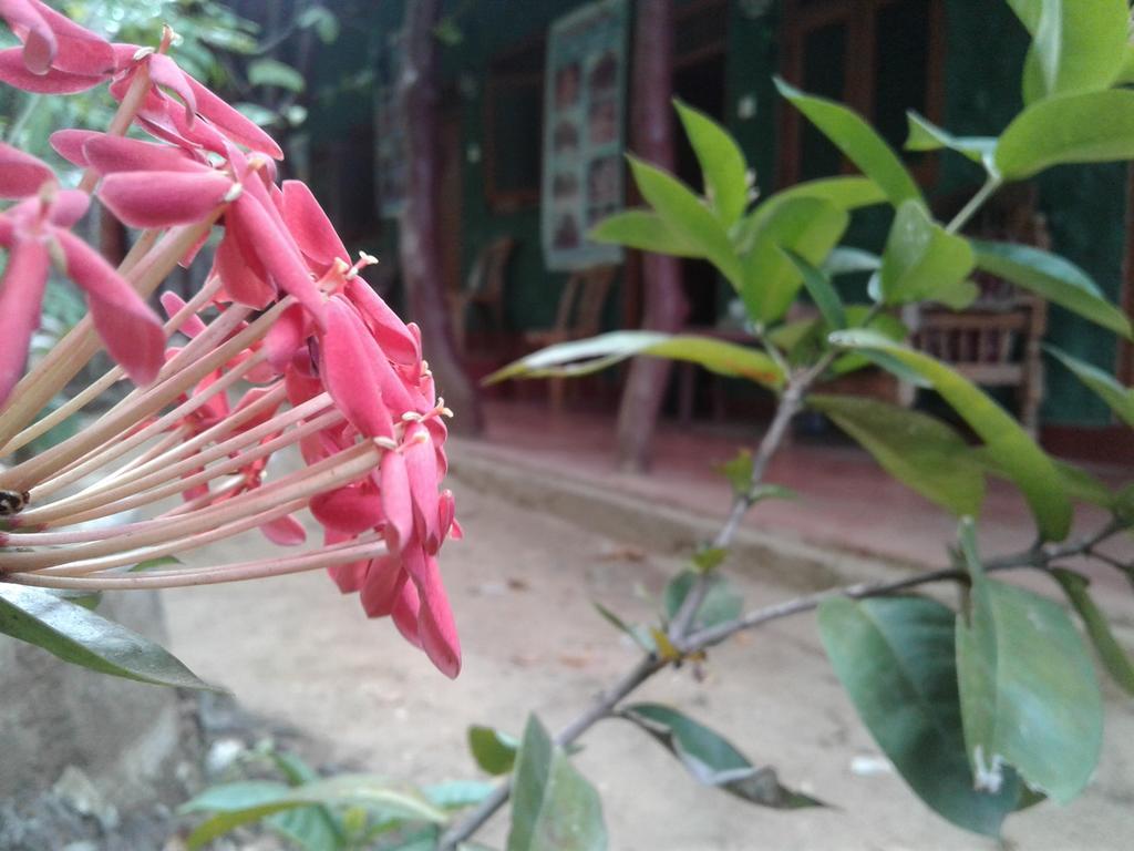 Bluesky Guest House Dambulla Exterior photo